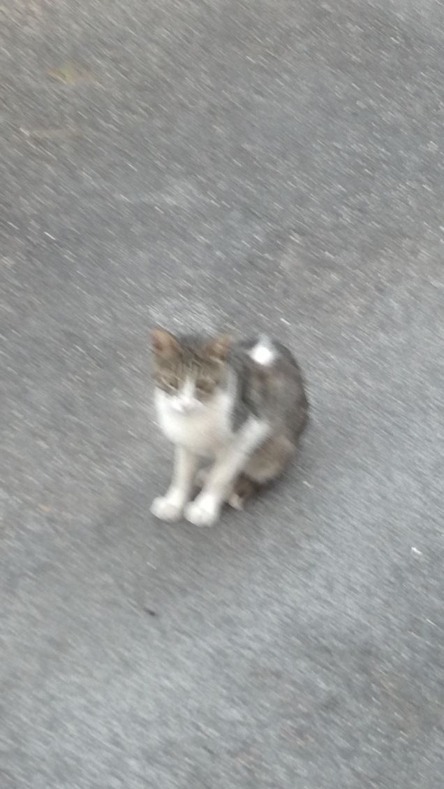 Strada e ancora strada19