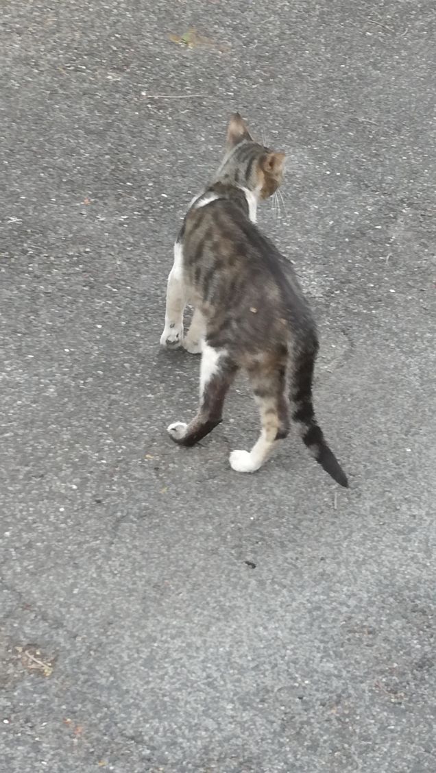 Strada e ancora strada21