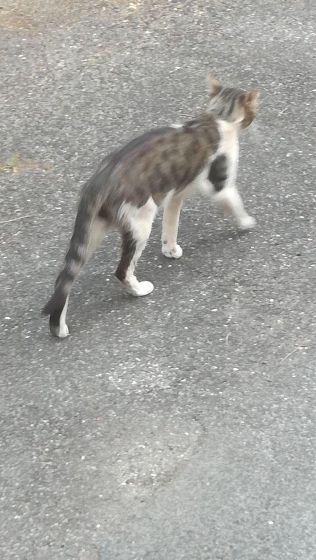 Non sono bello...sono un tipo2