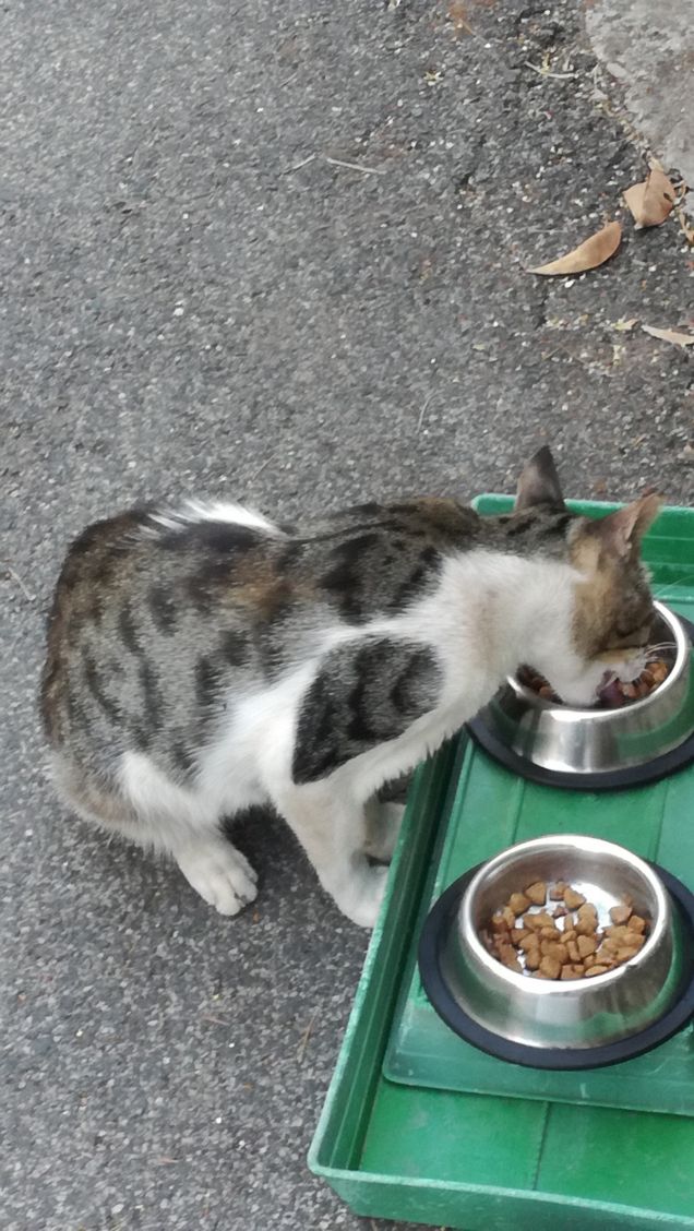 Non sono bello...sono un tipo3