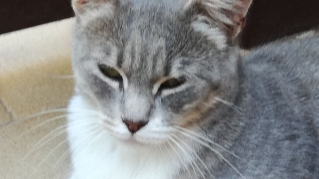 Una tipa bellissima1