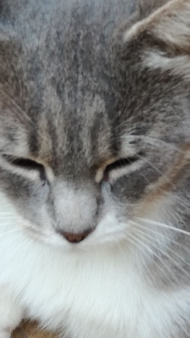 Una tipa bellissima2