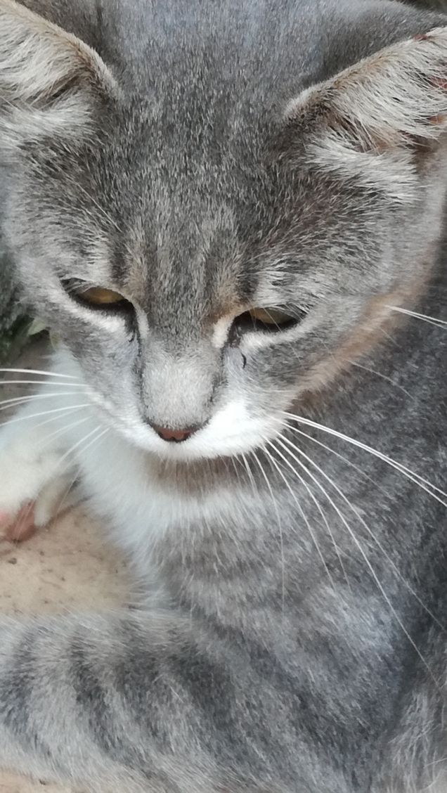 Una tipa bellissima3