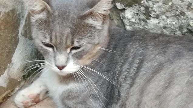 Una tipa bellissima4