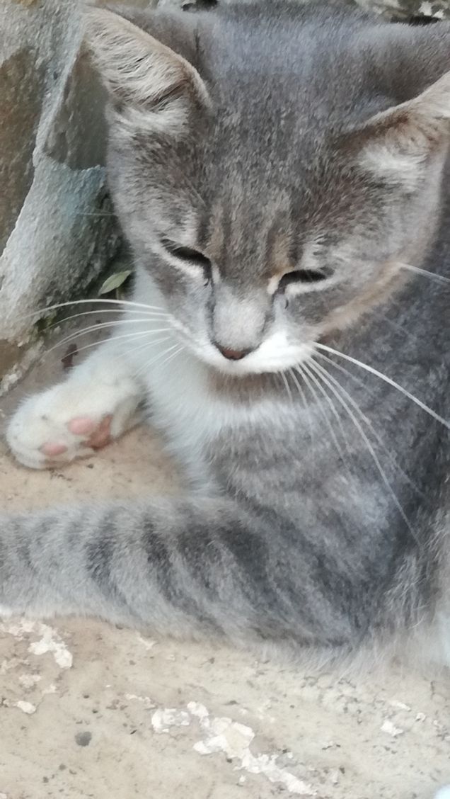 Una tipa bellissima5