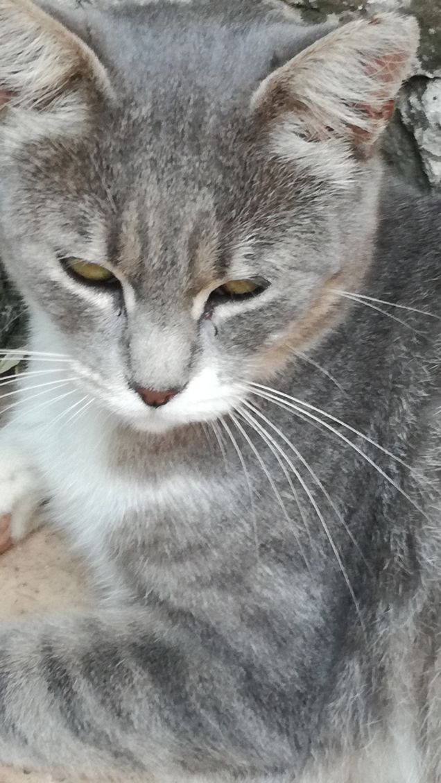 Una tipa bellissima6