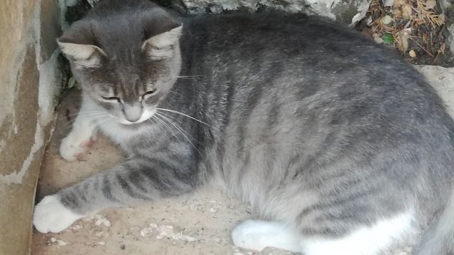 Una tipa bellissima7