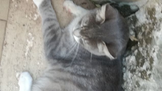 Una tipa bellissima8