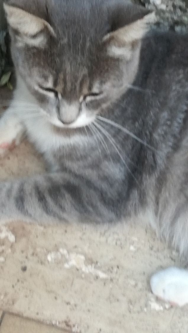 Una tipa bellissima9