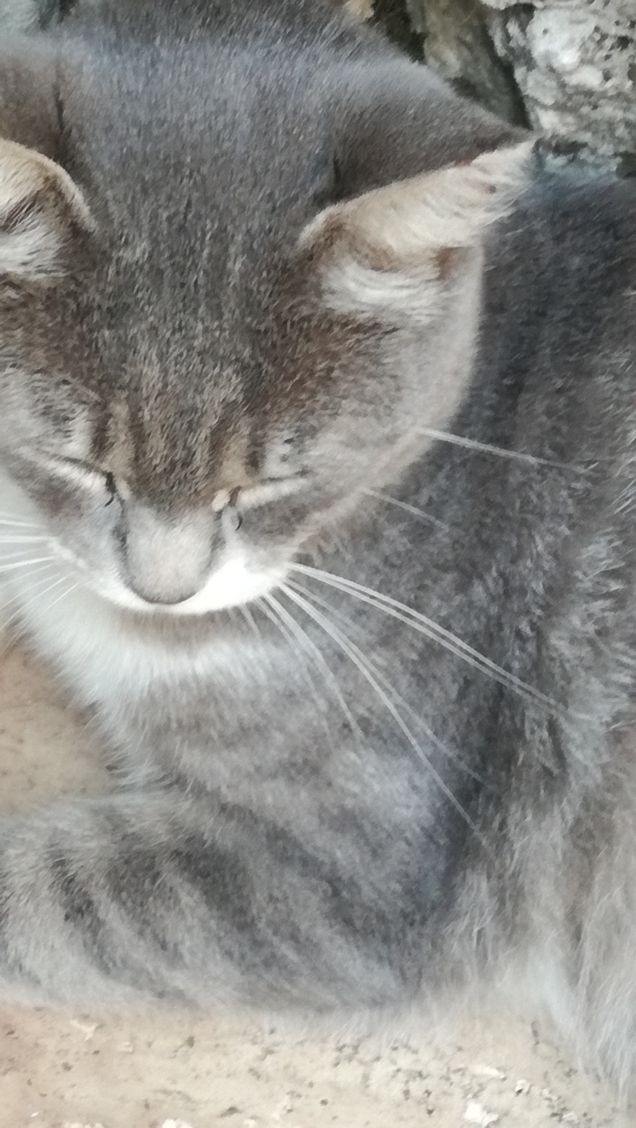 Una tipa bellissima10