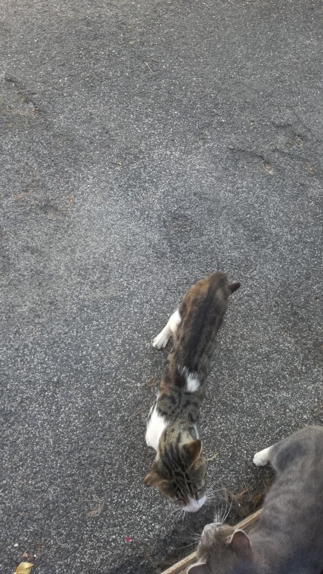 un caldo pomeriggio di Luglio2