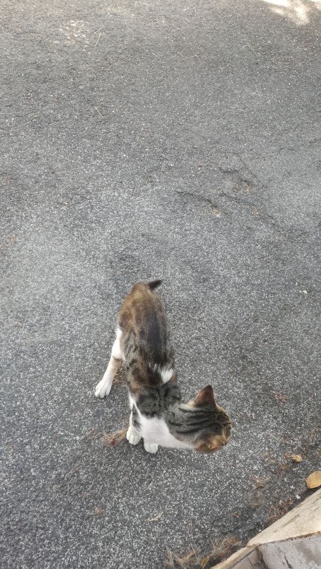 Un caldo pomeriggio di Luglio3