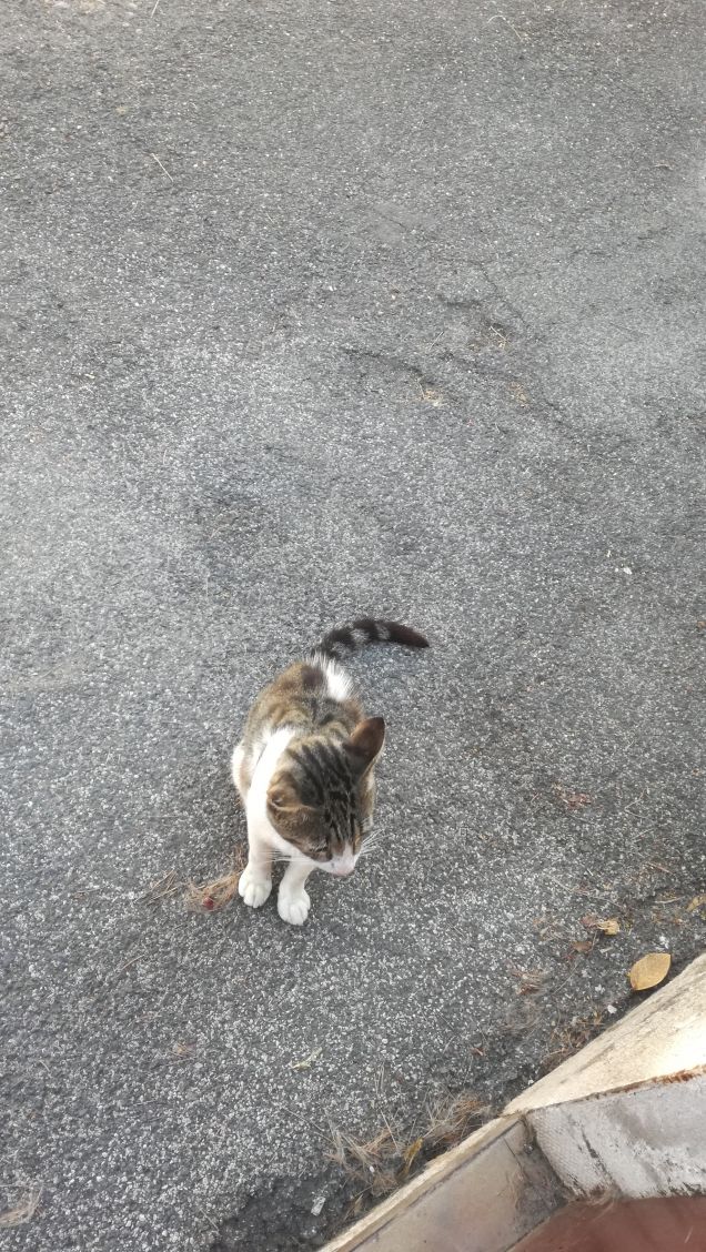 Un caldo pomeriggio di Luglio4