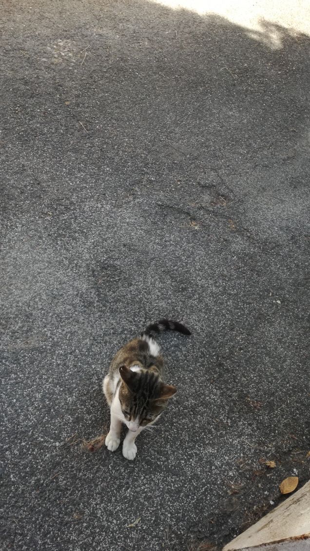 Un caldo pomeriggio di Luglio5