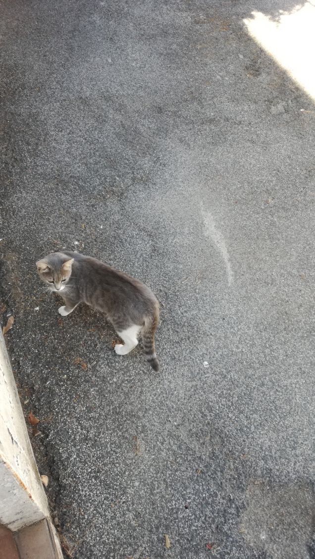 Un caldo pomeriggio di Luglio6