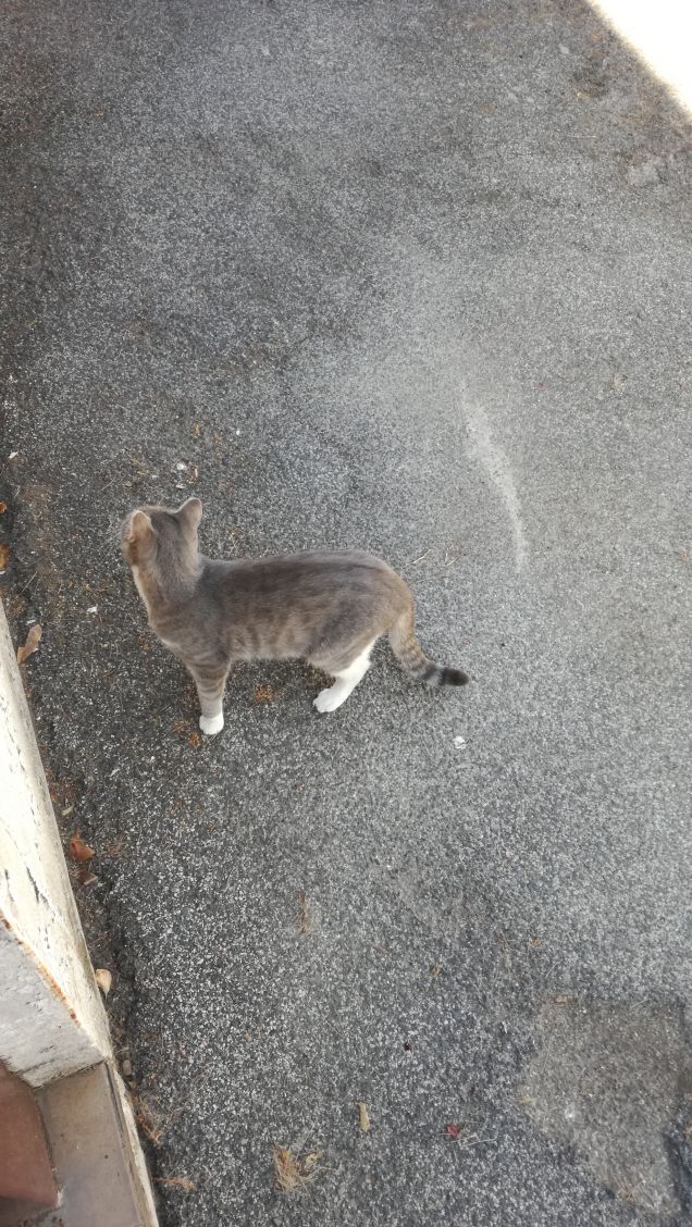 La musica non cambia1