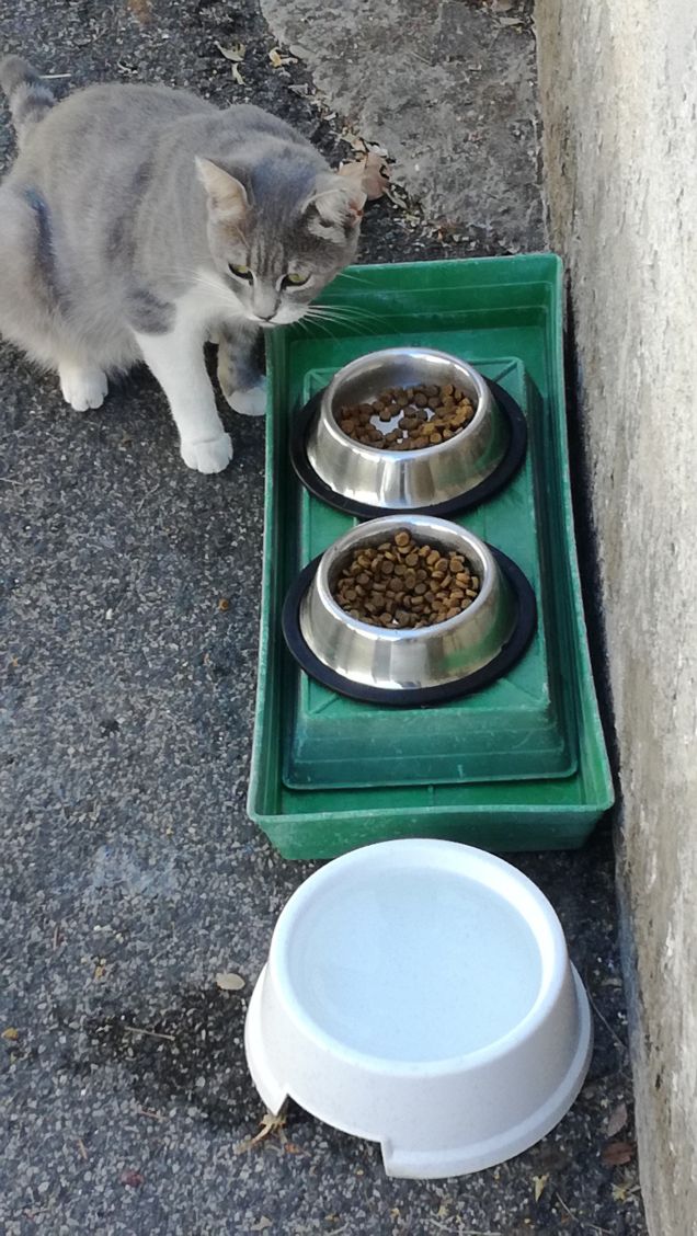 La musica non cambia2