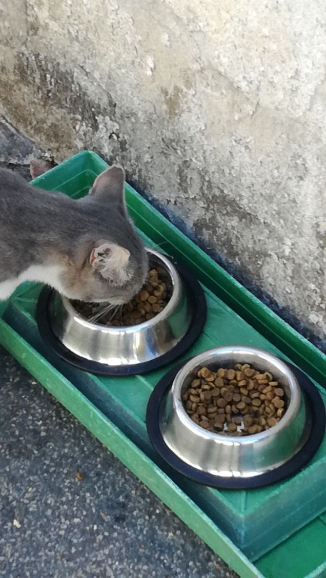 La musica non cambia4