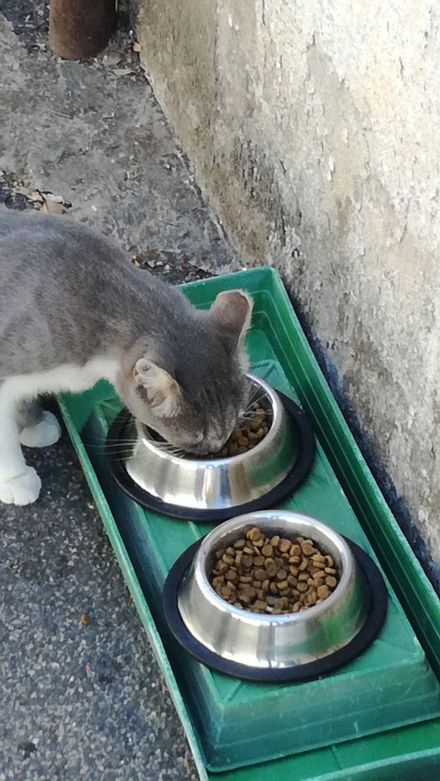 La musica non cambia5