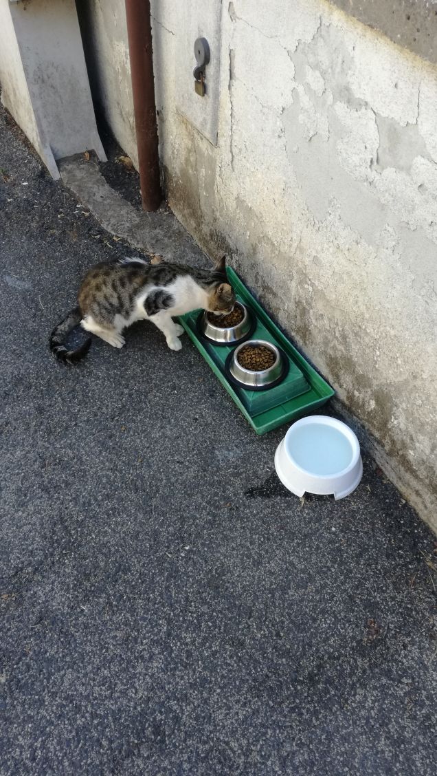 La musica non cambia6