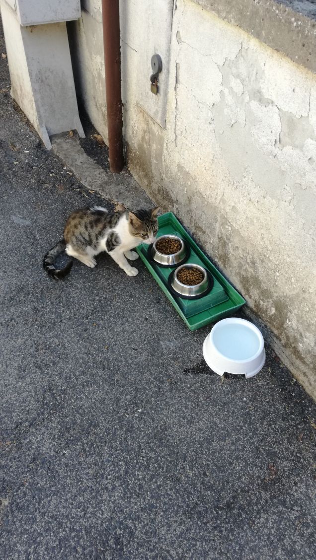 La musica non cambia7