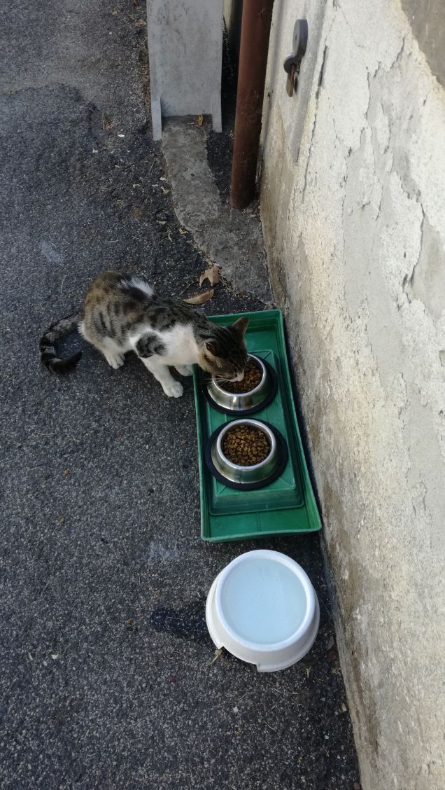 La musica non cambia9