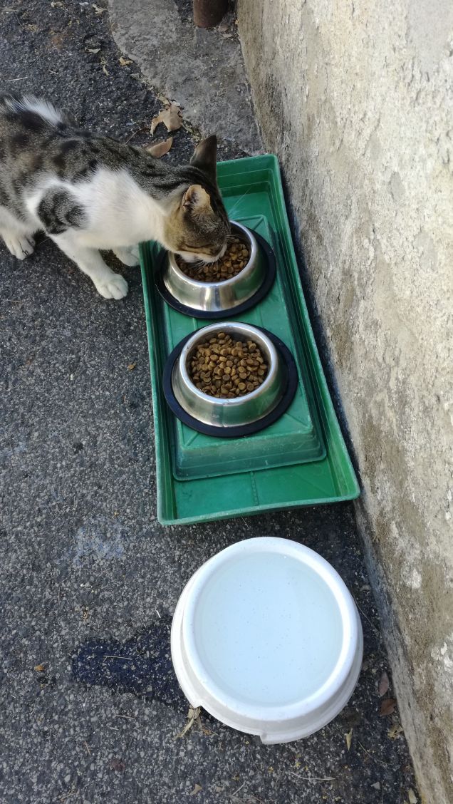 La musica non cambia10