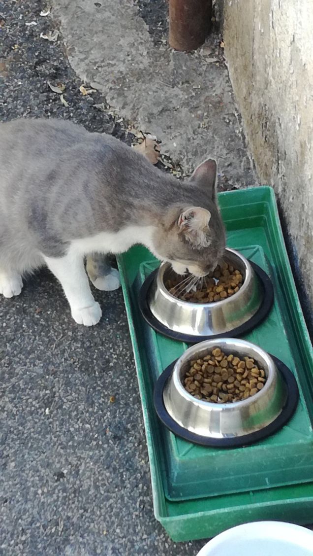 La musica non cambia12