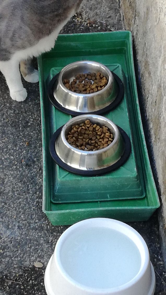 La musica non cambia13