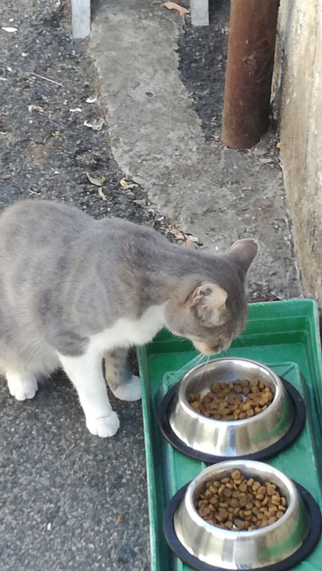 La musica non cambia14