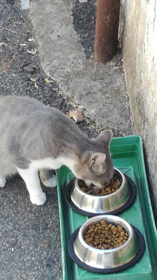 La musica non cambia15