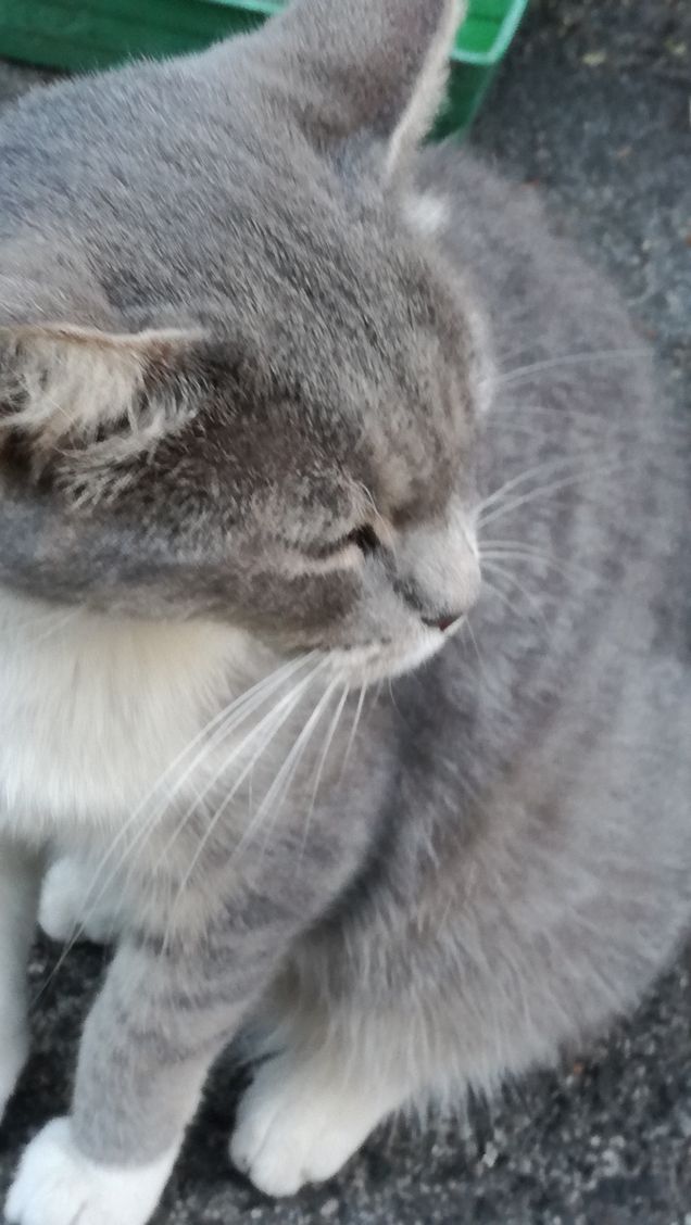 La grande bellezza10