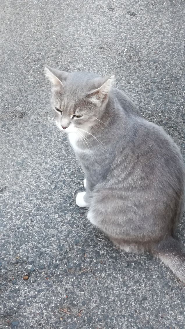 La grande bellezza11