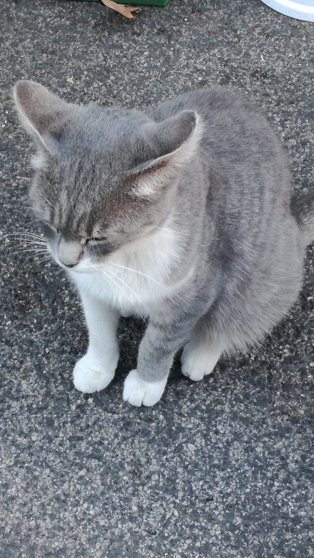 La grande bellezza12