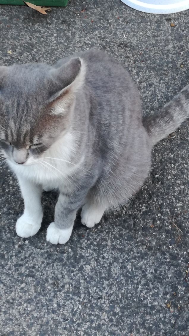 La grande bellezza14