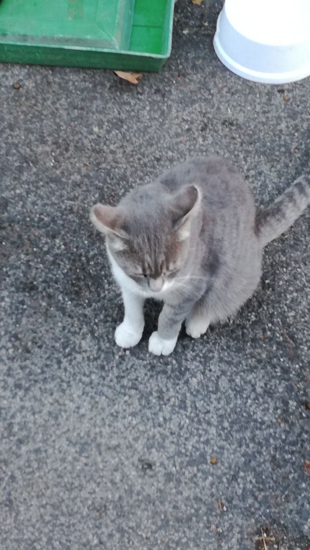 La grande bellezza15