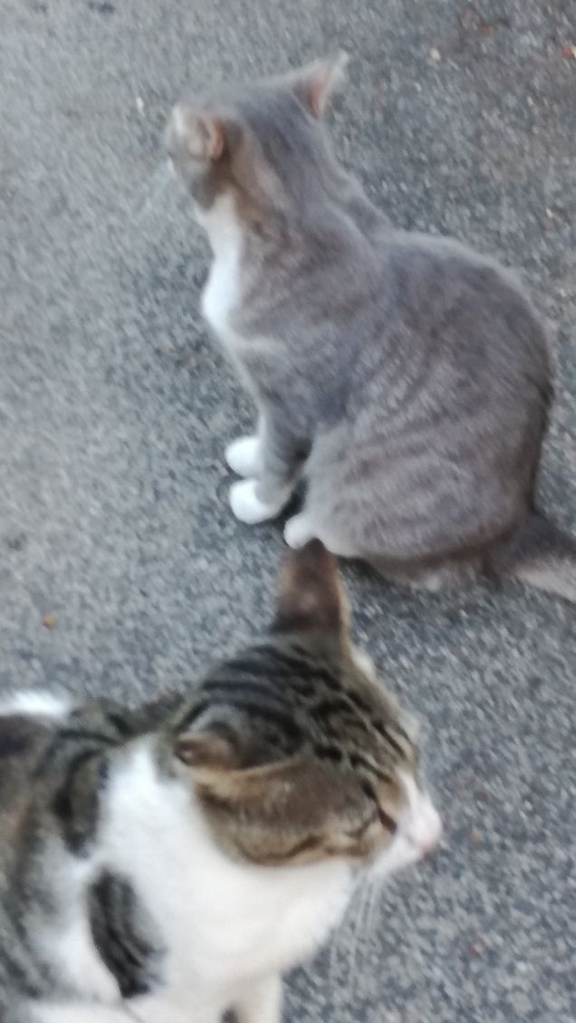 La grande bellezza18