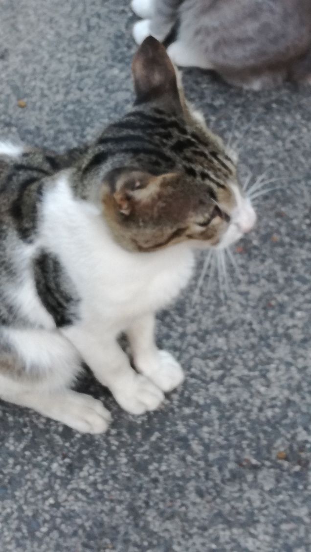 La grande bellezza19