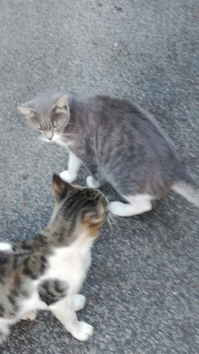 La grande bellezza21