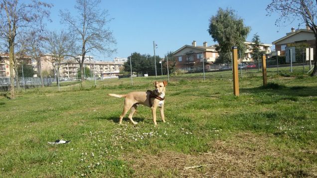 Passeggiata mozzafiato