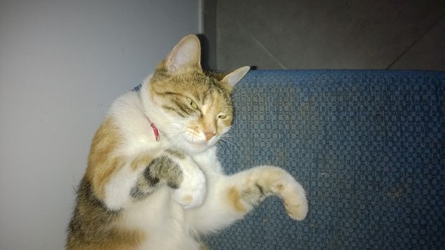 Lei è una vera cacciatrice.