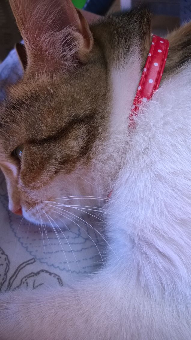 Piccola quanto sei carina.