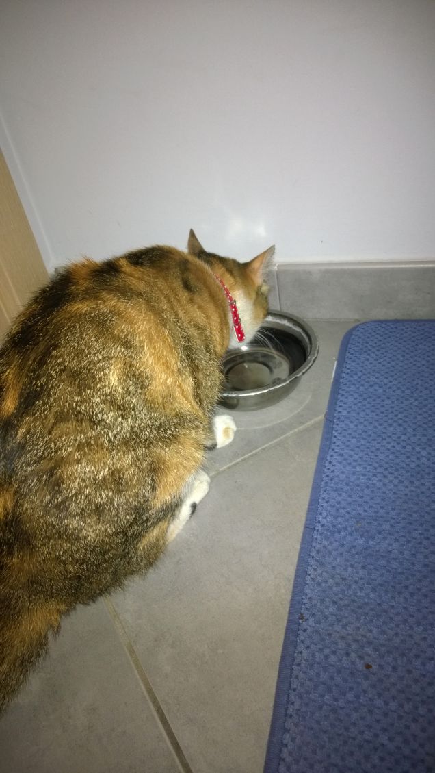 Oggi Irina ha molta sete.