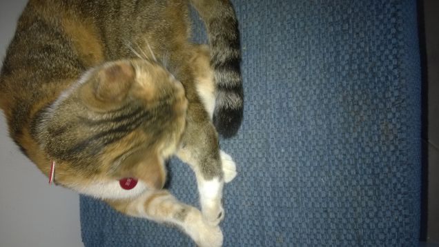 Irina Appena sveglia.