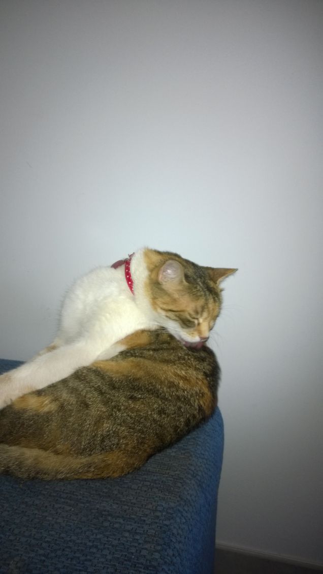 Irina appena sveglia