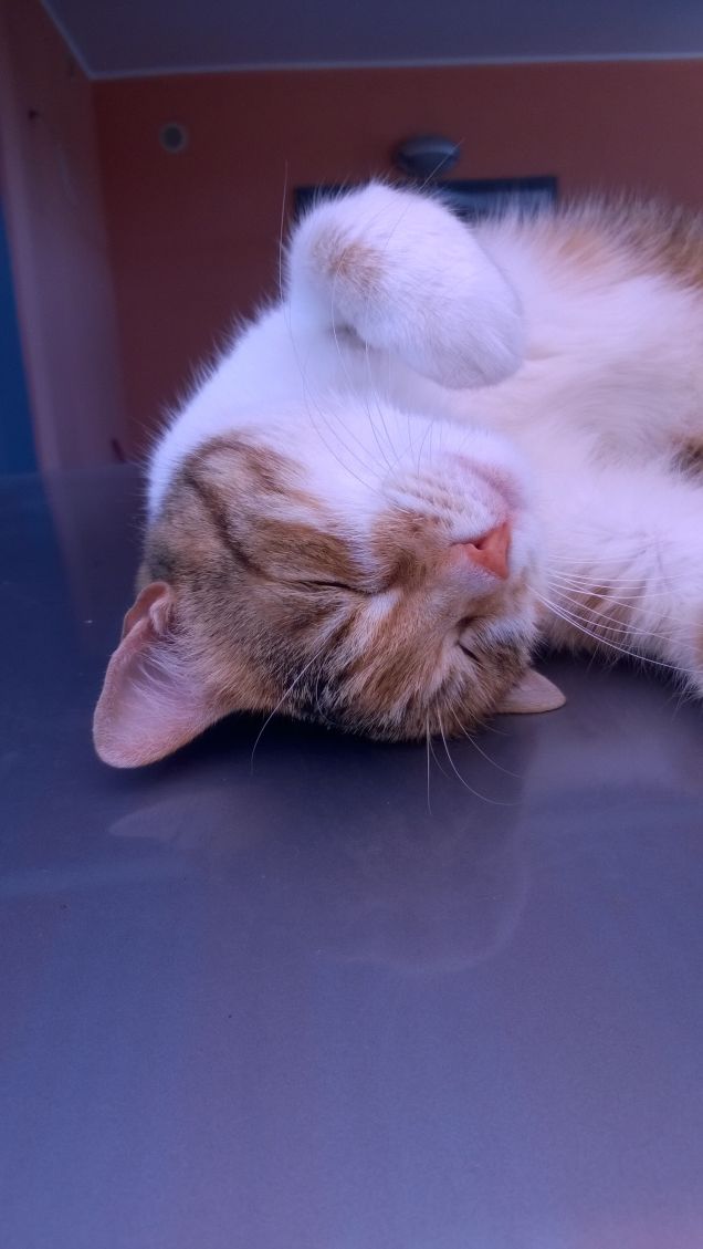 Irina sei incredibile.