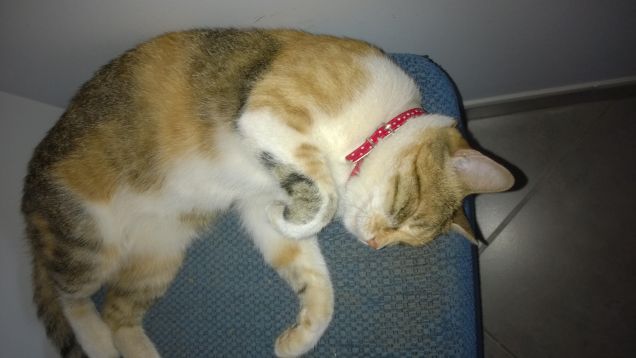 Irina e la sua pappa.