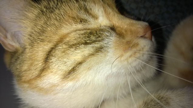 Primo piano di Irina che finalmente dorme.