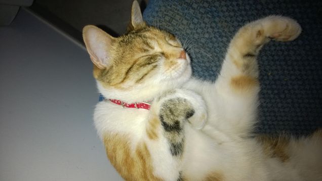 Irina sei la mia gioia.