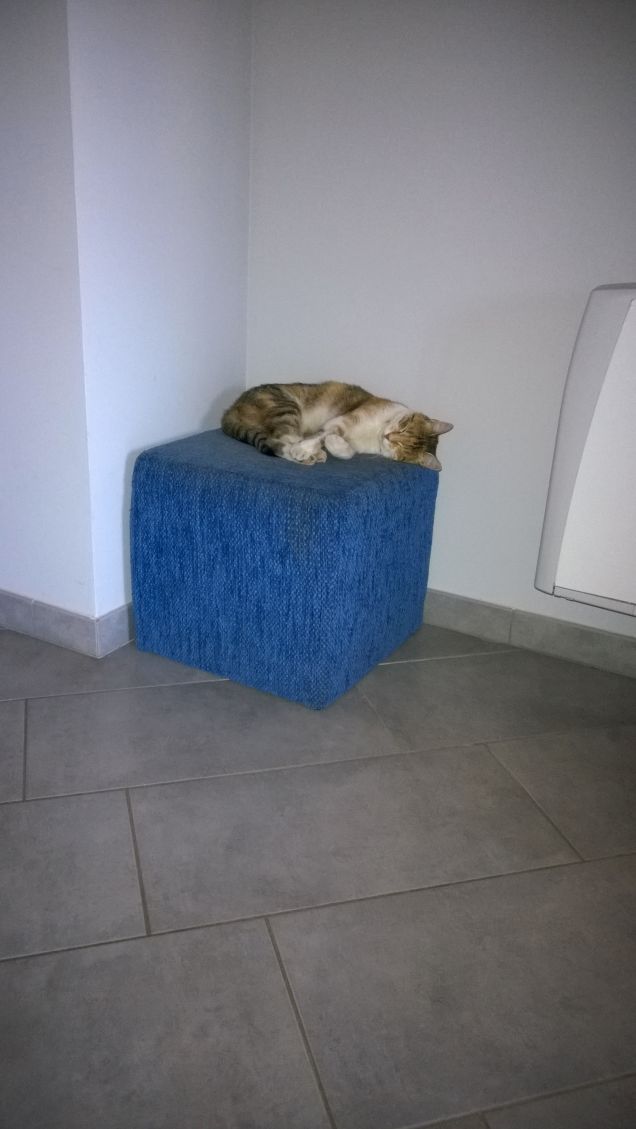 Irina sulla sua postazione.